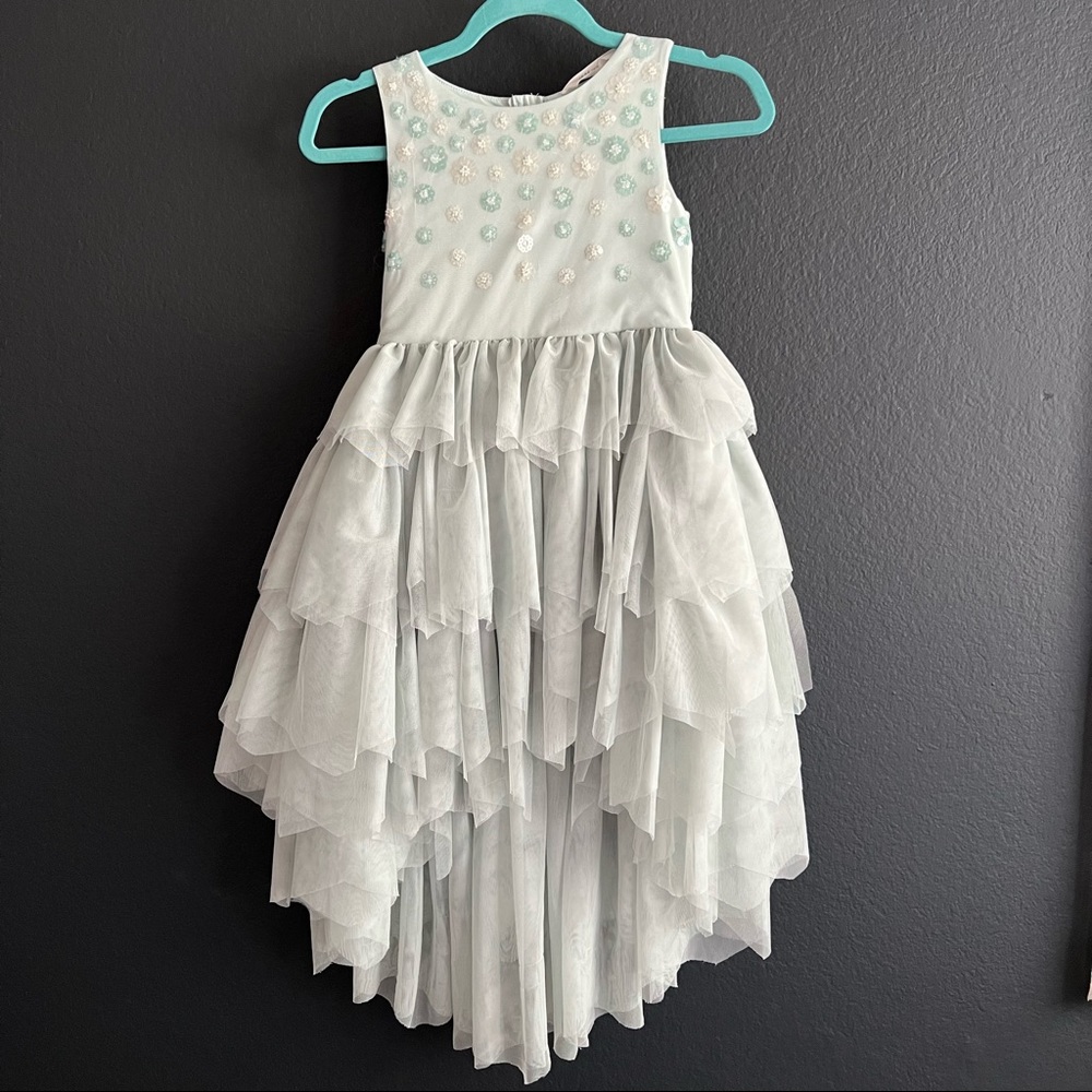 H&M Tulle Party Dress Tutu